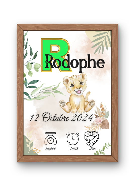 Cadre/ Affiche Naissance personnalisée